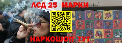 СК Гагарин
