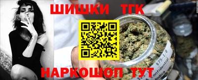 мдпв Гатчина