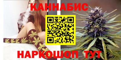СК Гагарин