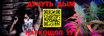 мдпв Гатчина