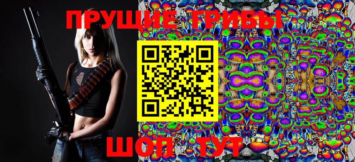 Химки  Псилоцибиновые грибы Cubensis  Вход с VPN 
