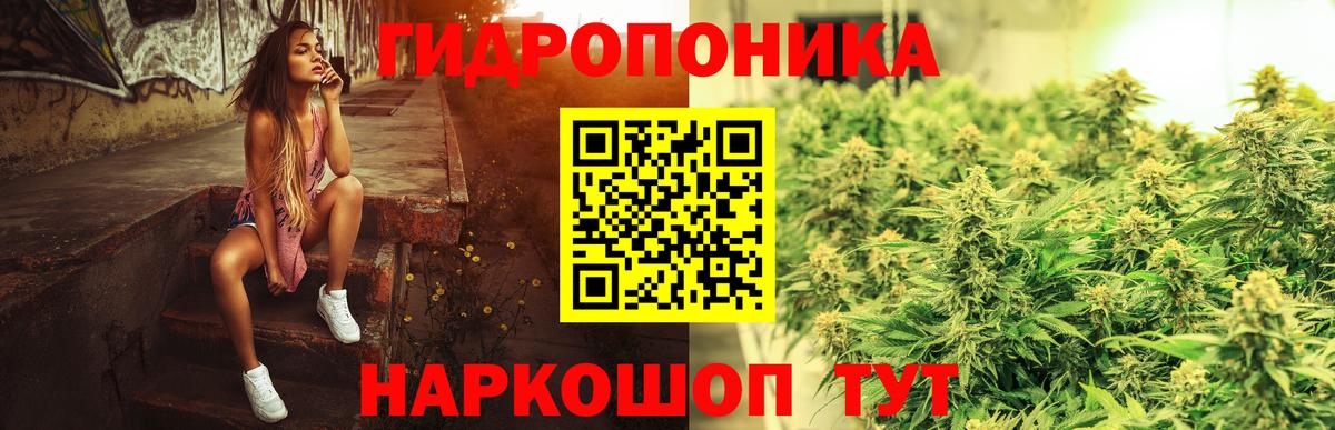 Шишки марихуана индика  Каннабис White Widow  Химки  Вход с VPN  Бошки Шишки планчик 